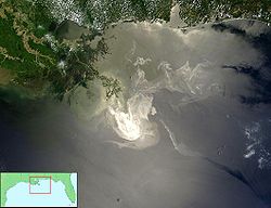 The oil slick covers over 9000 square miles