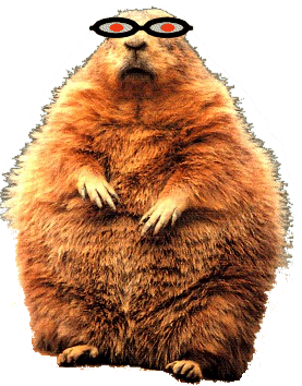 I am a robotic groundhog I am a robotic groundhog